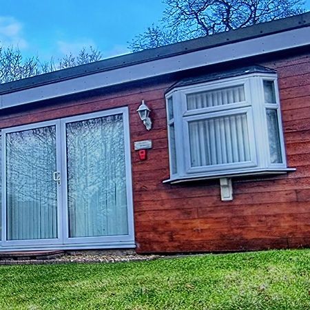 Ranger - Snowdon Cabins Holiday Let Caernarfon Caeathro Экстерьер фото